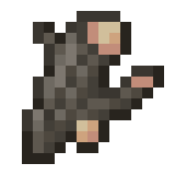 Elderwood