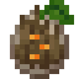 Seedling