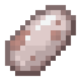 Terrorbird Egg