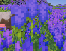 Lavender