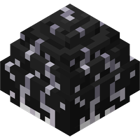 Void Dragon Egg